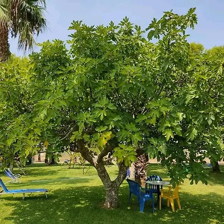 Masseria Don Egidio Feriegård Melendugno